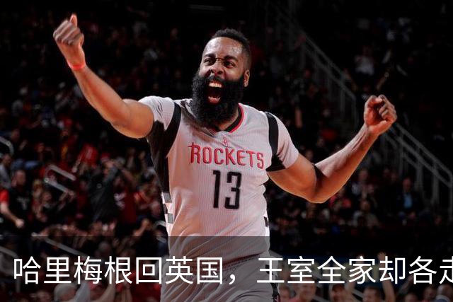 哈里梅根回英国，王室全家却各走各路！兄弟和解无望？
