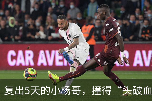 复出5天的小杨哥，撞得“头破血流”