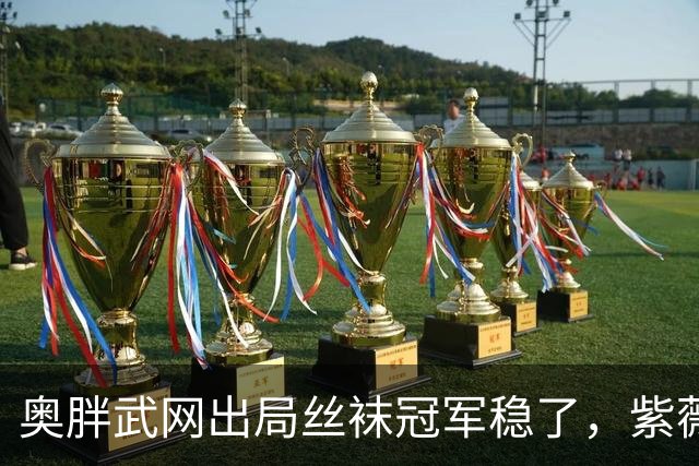 奥胖武网出局丝袜冠军稳了，紫薇止步四强被指为保守付出代价