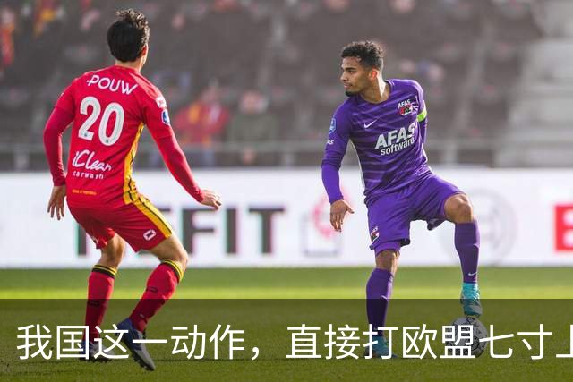 我国这一动作，直接打欧盟七寸上，欧盟内部瞬间安静了，不简单