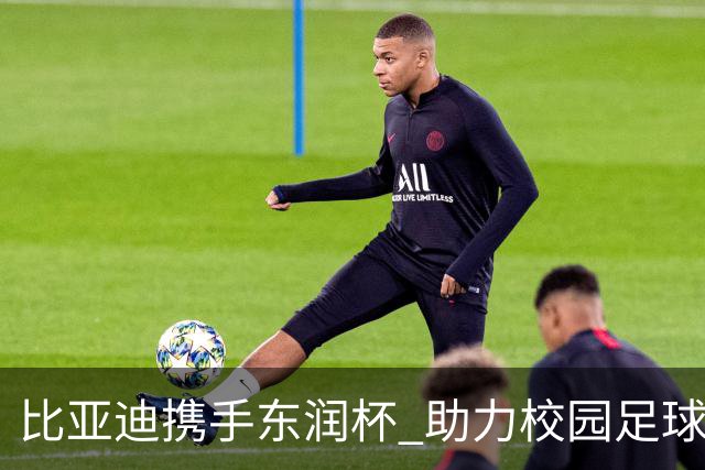比亚迪携手东润杯 助力校园足球少年圆梦工体