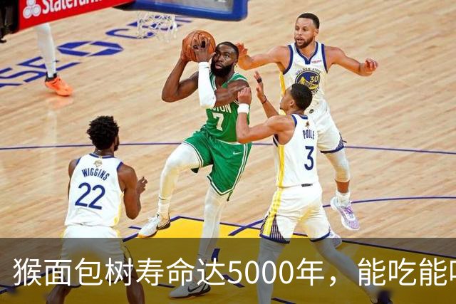 猴面包树寿命达5000年，能吃能喝又能住，为何引进中国却大变样？