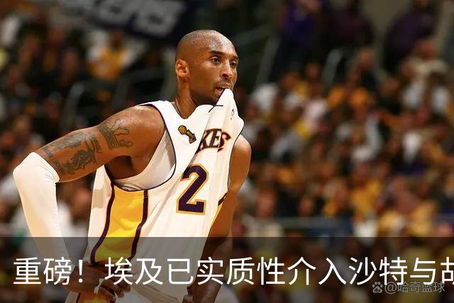 重磅！埃及已实质性介入沙特与胡塞武装的冲突